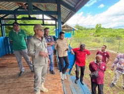 Dorong Perubahan Pola Beternak, Bupati Lembata Pantau Langsung Pengembangan Ternak di Pasir Putih