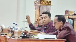 Fransiskus Namang Temui BPH Migas di Jakarta, Dorong Solusi Permanen Krisis BBM di Lembata
