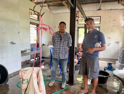 RPH Lembata Kembali Dimanfaatkan, Agus Nuban Bangun Rantai Usaha Ayam Terintegrasi dari Hulu hingga Hilir