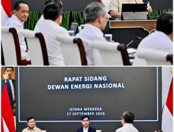Prabowo Dorong Swasembada Energi, PLTS 100 GWp dan B50-E50 Jadi Prioritas